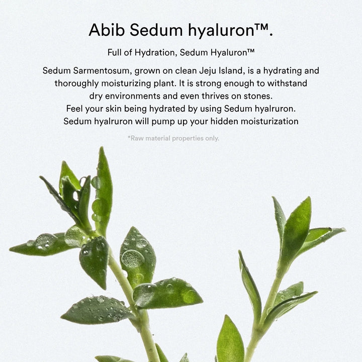 Abib Sedum hyaluron pad Hydrating touch