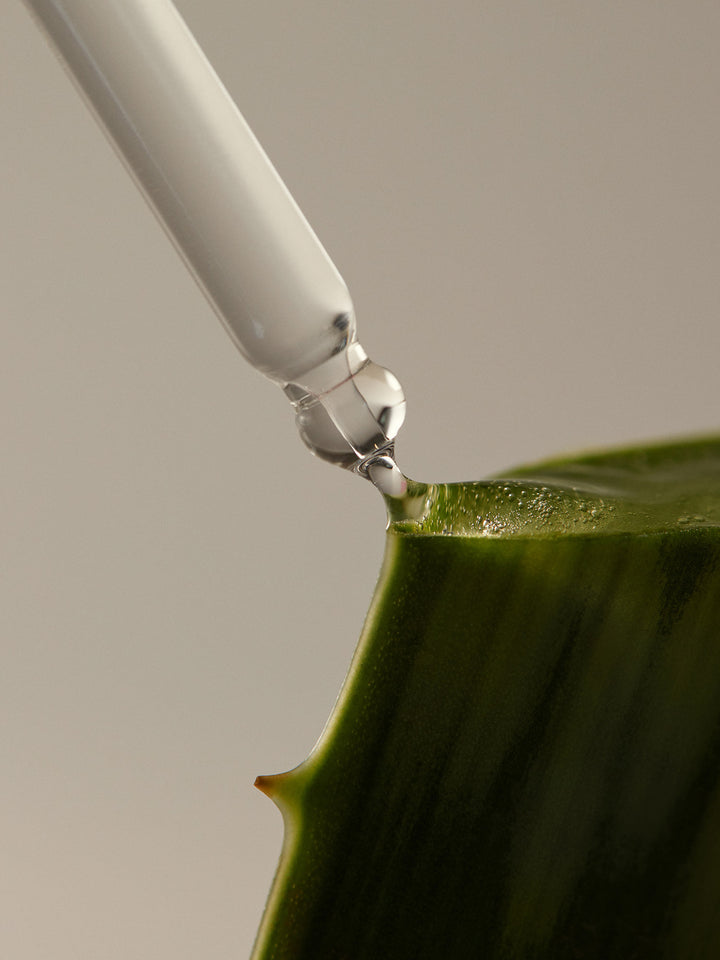 Aromatica Aloe Hy-ffective Sedum
